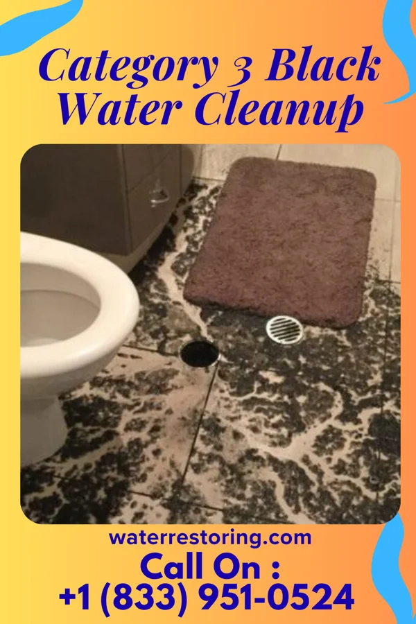 Category 3 Black Water Cleanup in Grant, IA