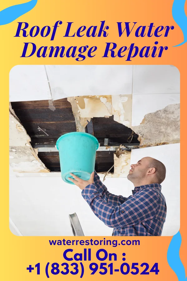 Roof Leak Water Damage Repair in Grant, IA