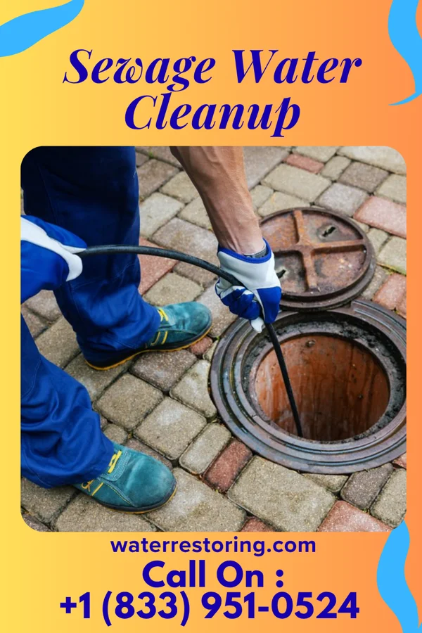 Sewage Water Cleanup in Grant, IA